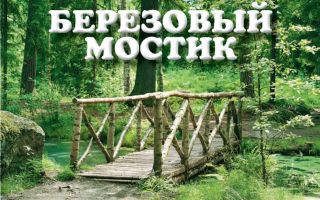 Березовый мостик