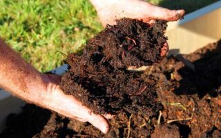 Натуральные средства для улучшения почвы в саду