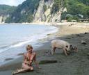 Свинья на пляже